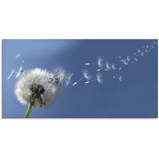 Glasbild ARTLAND "Pusteblume" Bilder Gr. B/H: 100 cm x 50 cm, Blumen, 1 St., blau Glasbilder in verschiedenen Größen
