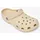 Bone 39-40