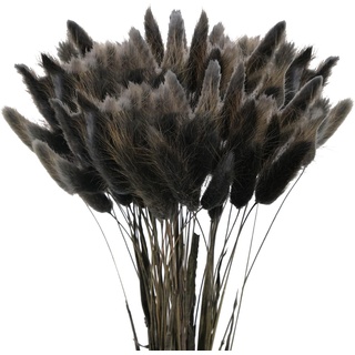 120 Pcs Getrocknetes Pampasgras,Lagurus Getrocknet,Trockenblumen Bodenvase,Natürlich Pampasgras Blumenstrauß,Trockenblumen Blumenstrauß Deko, Künstlich Groß Trockenblumen,Trockenblumen Pampasgras