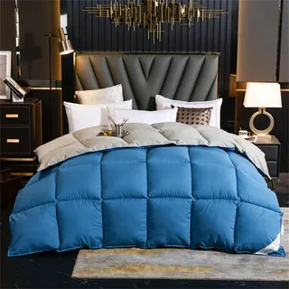 Daunendecke 220x240 Cm Winter Bettdecke Aus 90% Daunen Und 10% Federn - 100% Bauwolle Bettdecke Warme Winterbettdecke ,Winterdecke Schlafkomfort ,warm, Maschinenwäsch (Blue+Gray,220*240 cm 5kg)
