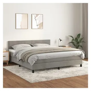 vidaXL Boxspringbett 160 x 200 cm Hellgrau