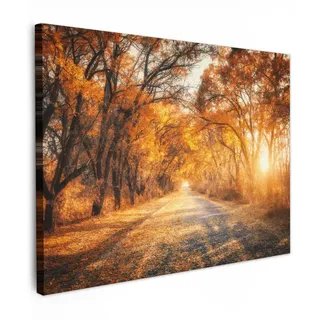 onlywow Leinwandbild, Wald | Gr.: 40 x 30 cm