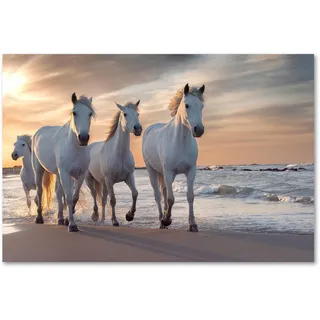 Postereck - 3510 - Pferde, Herde Natur Tier Meer Strand Weiss - Wandposter Fotoposter Bilder Wandbild Wandbilder - Poster - DIN A4-21,0 cm x 29,7 cm