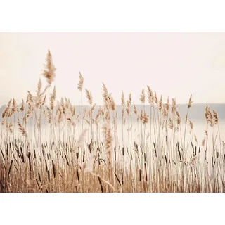 Magnetmatte für Heizkörperverkleidung, Beige Boho Reed, 60x100cm - Beige
