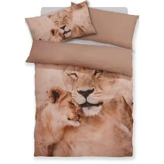 Bettwäsche OTTO HOME "Lyki", löwe, B/L: 135cm x 200cm, 1 Stk., 1 Stk., Microfaser, B/L: 40cm x 80cm, 2, Microfaser, Obermaterial: 100% Polyester, Bettwäsche, Bettwäsche, ab Größe 135x200 cm, 100% Polyester, Katze, Pferd, Löwe, Pinguin