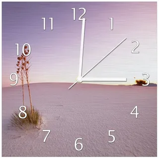 Wallario Wanduhr Kleine Oase in der Wüste (Aluverbunduhr) rosa