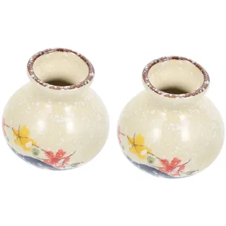 Artibetter 2st Trockeneis Japanisches Gewürzglas Mini-blumenvase Behälter Für Zahnstocher Dekorative Blumenvasen Mini-vase Aus Porzellan Keramik Hydroponik Reisen Hydroponischer Behälter