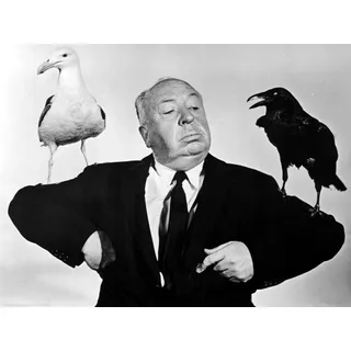 Alfred Hitchcock (The Birds) - Poster cm. 30 x 40