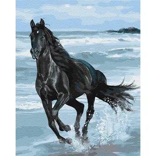 Artnapi Malen nach Zahlen Erwachsene mit Rahmen | DIY Handgemalt | Schwarzes Pferd | Kit für Anfänger und Erwachsene | Set inklusive Acrylfarben & Pinsel | 40x50cm Leinwand | Ideal als Geschenk