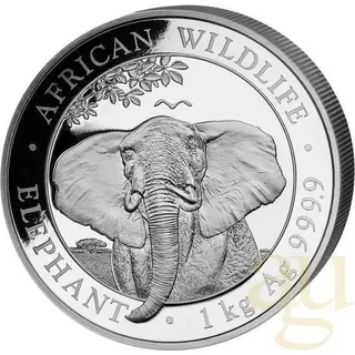1 Kilogramm Silbermünze Somalia Elefant 2021