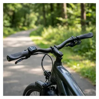 Ergotec Lenker (31.80 mm