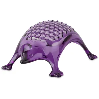Koziol KASIMIR Käsereibe | Parmesanreibe, Zitronenreibe, Ingwerreibe, Zester | feine Reibefläche, bruchfester Kunststoff, spülmaschinengeeignet | Küche, Haushalt (transparent lavender)