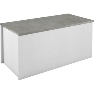 Truhe INOSIGN "Container" Truhen Gr. B/H/T: 90 cm x 45 cm x 45 cm, weiß (weiß, beton) Truhe