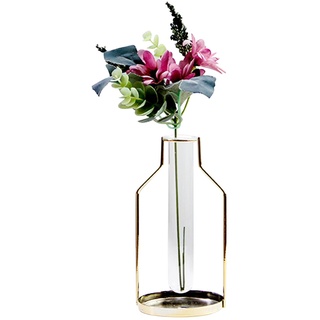 Vase aus Eisen Blumenvase Reagenzglas Pflanzenhalter Glasvase Hängende Iron Luftpflanzen Halter Wandbehang Pflanzgefäß Kleine Vasen für Zuhause Tisch Party Hochzeit Dekoration (Gold-Klein)