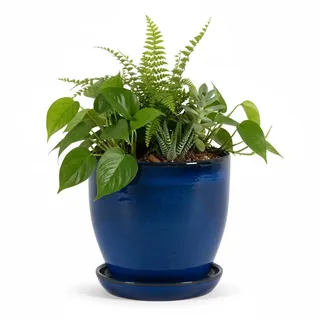 Teramico Pflanzgefäß Keramik rund frostfest (Royal Blau, 30cm x 27cm) | Runder Premium Blumentopf in echter Handarbeit. In vielen Größen & Farben ideal für Garten und Balkon kombinierbar.