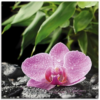 ARTland Glasbilder Wandbild Glas Bild einteilig 20x20 cm Quadratisch Natur Asien Botanik Blumen Orchidee Steine Zen Entspannung Pink T5OQ