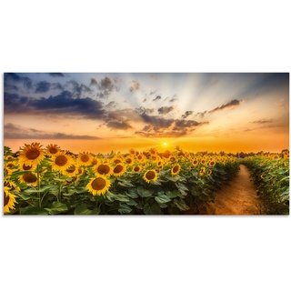 Wandbild »Sonnenblumenfeld bei Sonnenuntergang«, Blumenbilder, (1 St.), 28931147-0 gelb B/H: 150 cm x 75 cm