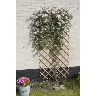 Versele-Laga Nature Garten-Rankgitter 50 x 150 cm Braun