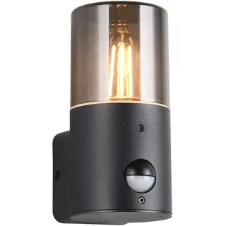 TRIO Leuchten LED Außen-Wandleuchte Schwarz mit Bewegungsmelder, Höhe 17,5cm, Bewegungssensor, LED wechselbar, Warmweiß, Wand Außenleuchte zur Fassadenbeleuchtung & Hausbeleuchtung Haustür schwarz