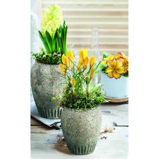 B & S Blumenkübel Gartendeko Keramik Vase Amphore Antik Shabby Steinoptik H 23 cm Rund