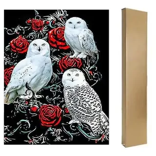 DCIDBEI Diamond Painting Eckige Steine Eulen 40x50 cm Square Diamond Painting Schneeeule Rose Stitch Stickerei Diamant Malerei Erwachsene Eule Malen Nach Zahlen Eule Diamant Painting Bilder Tiere Box