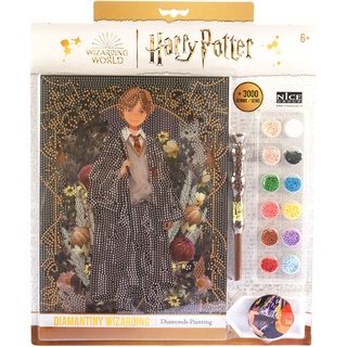 DIAMANTINY Harry Potter – Yume Fantasy Ron – Kit für Mosaik, Crystal Art, Diamond Painting, 1 Bild A4, Multicolor, 21 x 29,7 cm, 21011