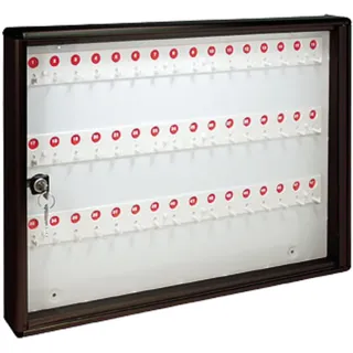 ALUBOX Schlüsselkasten Wandmontage aus Aluminium 30X5X14 cm – Wand-Schlüsselkasten für Innen- oder Außenbereich Geschützt – Made in Italy mit 48 Nummerierten Haken (ANTHRAZIT)