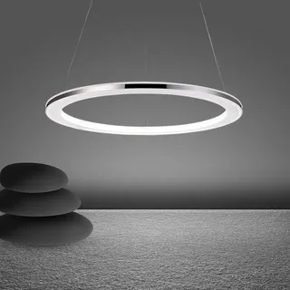 Quevia-Eletro LED Pendelleuchte Kronleuchter Ring Wohnzimmer Esstischlampe Dimmbar Fernbedienung Moderne Hängeleuchte Deckenleuchte Schlafzimmer Pendellampe Silber Edelstahl Höhenverstehbar,12W,Φ30cm
