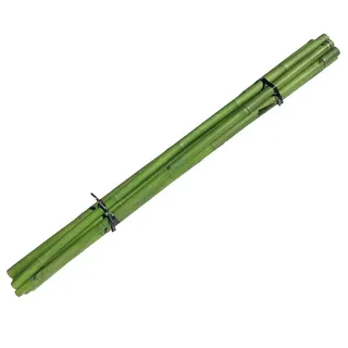 Bambusstab 200cm grün gefärbt mit 3,8 bis 5cm, Apus Bambus von bambussi.com