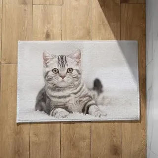 Isdreem Fußmatte Aussen Fussmatte Innen Schmal Lang Katze Schmutzfangmatte Lang Schmal Ultradünne Fussmatte Innen, 40x60cm