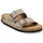 gray taupe 45