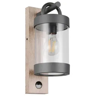 Trio Leuchten AUßENWANDLEUCHTE Sambesi, Transparent, Braun, Anthrazit, Kunststoff, Metall, 12.5x33x18.6 cm, Bewegungsmelder, Lampen & Leuchten, Außenbeleuchtung, Außenleuchten mit Bewegungsmelder