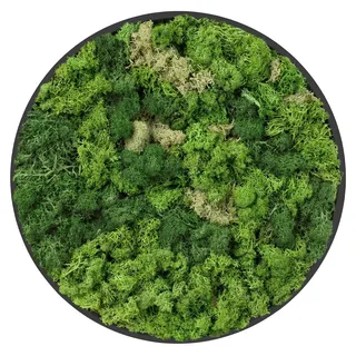 ECD Germany Moosbild Rund Ø 40 cm Mooswand Indoor mit echtem Islandmoos, Wanddeko mit Holzrahmen, Wandbild 3D-Effekt, Natürliche Optik, Pflegefrei - Grün