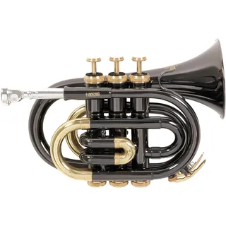 Gewa Roy Benson Bb-Taschentrompete PT-101K (Präzise gefertigtes Messingschallstück, goldmessing Mundrohr, premium-Taschentrompete, inkl. schützendem Rechtecketui, mit Rucksackfunktion), Anthrazit