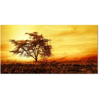 120x60cm - Afrika Baum Landschaft Sonnenuntergang - Bild auf Keilrahmen modern stilvoll - Bilder und Dekoration