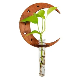 Rundes hohles geschnitztes hängendes Holzregal, Pflanze Hängendes Holzregal Vase, Hängende Propagation Station Wandvase Reagenzglas Für Innendekoration Wanddekoration Wohnzimmer (Mond)