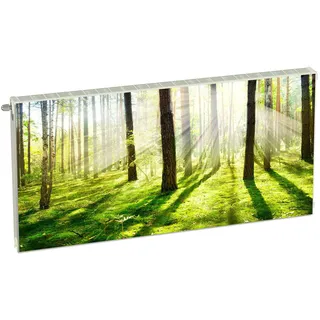 Magnet Heizkörperverkleidung Heizkörperabdeckung Grün Natur 120x60 cm Heizung Abdeckung Verkleidung Magnetische Abdeckmatte Kühlschrank aus Einem Flexiblen Magneten Digitaler Aufdruck