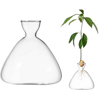 CDIYTOOL Glas-Avocado-Samen-Sprossen-Startervase, klare Avocado-Baum-Wachstumsvasen, Glas-Gartensamen-Starter-Pflanzvase für Zuhause, Tisch, Schreibtisch, Innendekoration