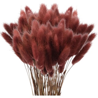 120 Pcs Getrocknetes Pampasgras,Lagurus Getrocknet,Trockenblumen Bodenvase,Natürlich Pampasgras Blumenstrauß,Trockenblumen Blumenstrauß Deko, Künstlich Groß Trockenblumen,Trockenblumen Pampasgras