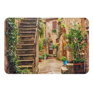 VducK Fußmatte für den Innenbereich, 40 x 60 cm, mediterraner Druck, Flanell-Fußmatte für Haustür, Außenbereich, Eingangsbereich, Veranda