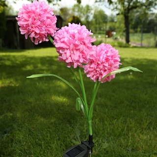 LED Solar Gartenstecker Blume - warmwei√üe LED - H: 70cm - Lichtsensor - rosa