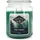 Candle BROTHERS Pine Forest Duftkerze 510 grün