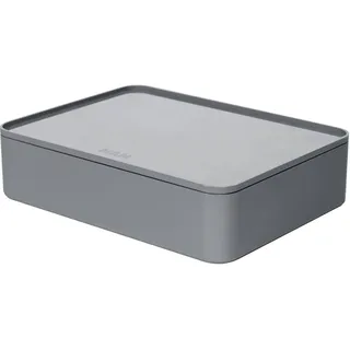 HAN Aufbewahrungsbox Smart Organizer ALLISON 26,0 x 19,5 x 6,8 cm 1-tlg. grau