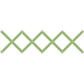 Garderobenleiste QUEENCE "Jens" Garderobenhalter Gr. B/H: 110 cm x 30 cm, grün Garderobenleiste Aufbewahrung Ordnung Hakenleisten 14 Haken & 8 Garderobenleisten