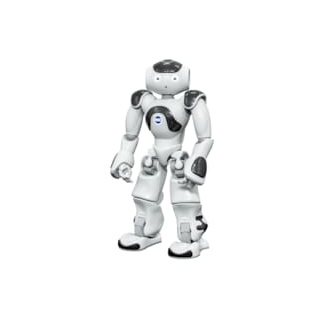 NAO Roboter Version 6 - Business Edition - 2 Jahre Garantie