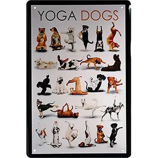 Blechschild Lustiger Spruch & Motiv: “Yoga Dogs“ Deko Hund Humor Hundeschild Eingang Metallschild Schild Witziges Geschenk zum Geburtstag oder Weihnachten 20x30 cm