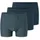 Short Pant XL