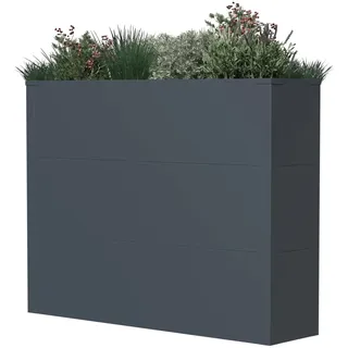 Westmann Talus XL 100 x 25 x 77 cm Anthrazit