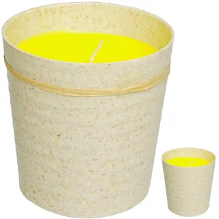 alles-meine.de GmbH 4 Stück große XL - Citronella Kerzen im Bambus Topf - Aroma Duftkerze - Zitronen Duft - Creme weiß/beige - 10 cm hoch - Glas Topf - Bodenkerze - Tischkerz..