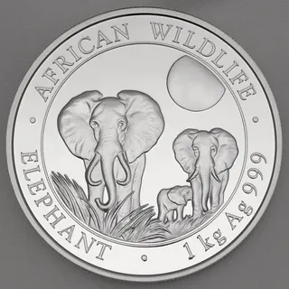 Silbermünze 1kg "Elefant" 2014 African Wildlife (Somalia)